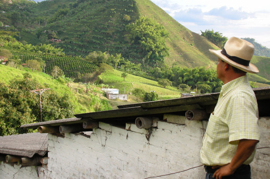 A Day in the Life of a Coffee Grower