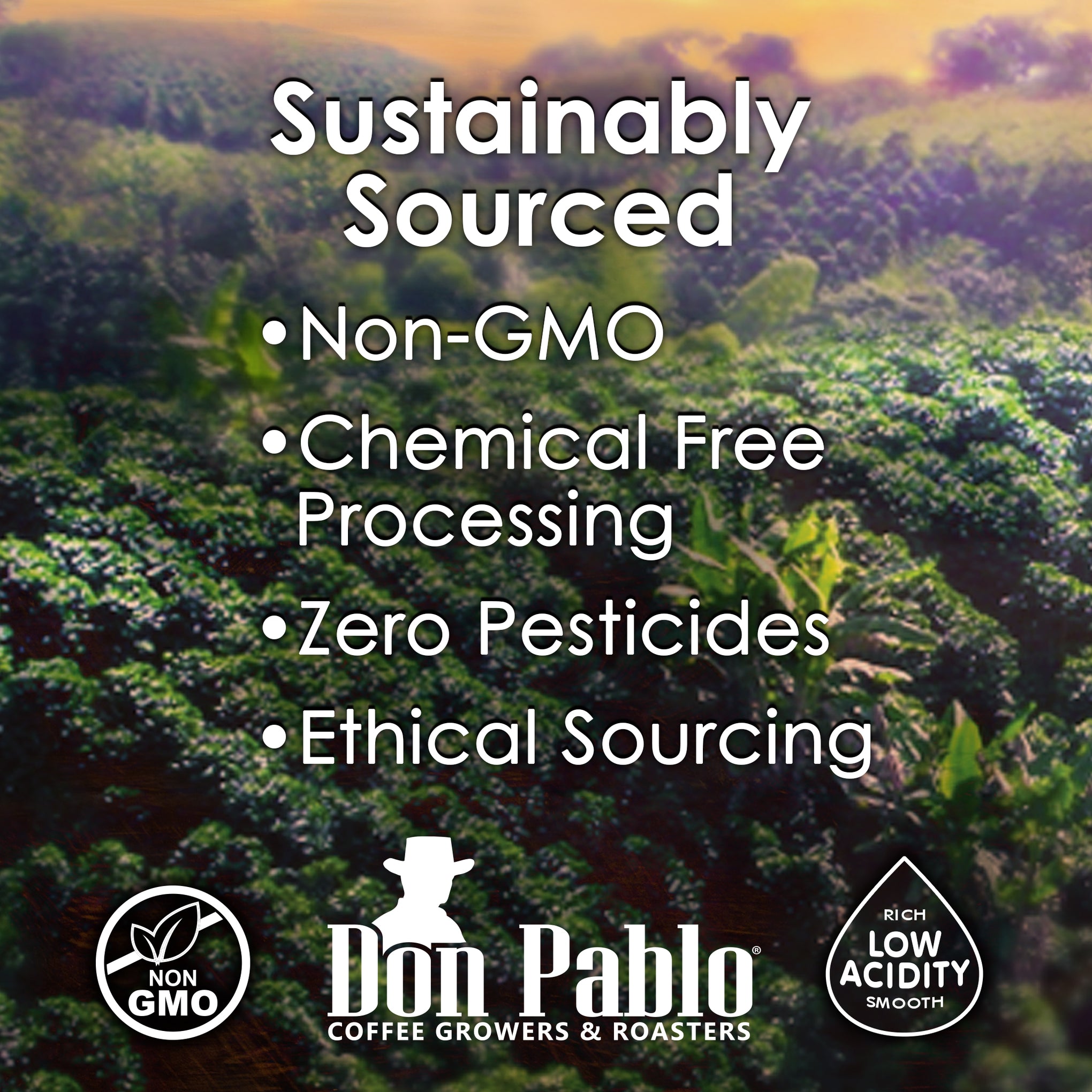  Don Pablo Coffee Sustainably Sourced