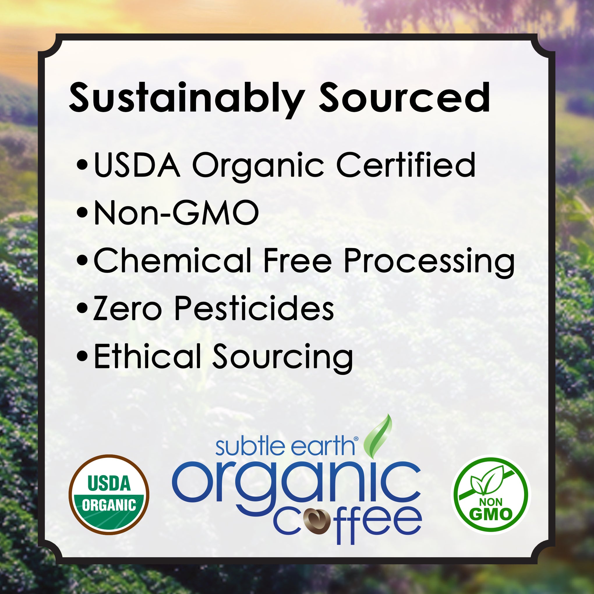 Subtle Earth Organic Coffee the best coffee available, Organic certified, sustainably sourced