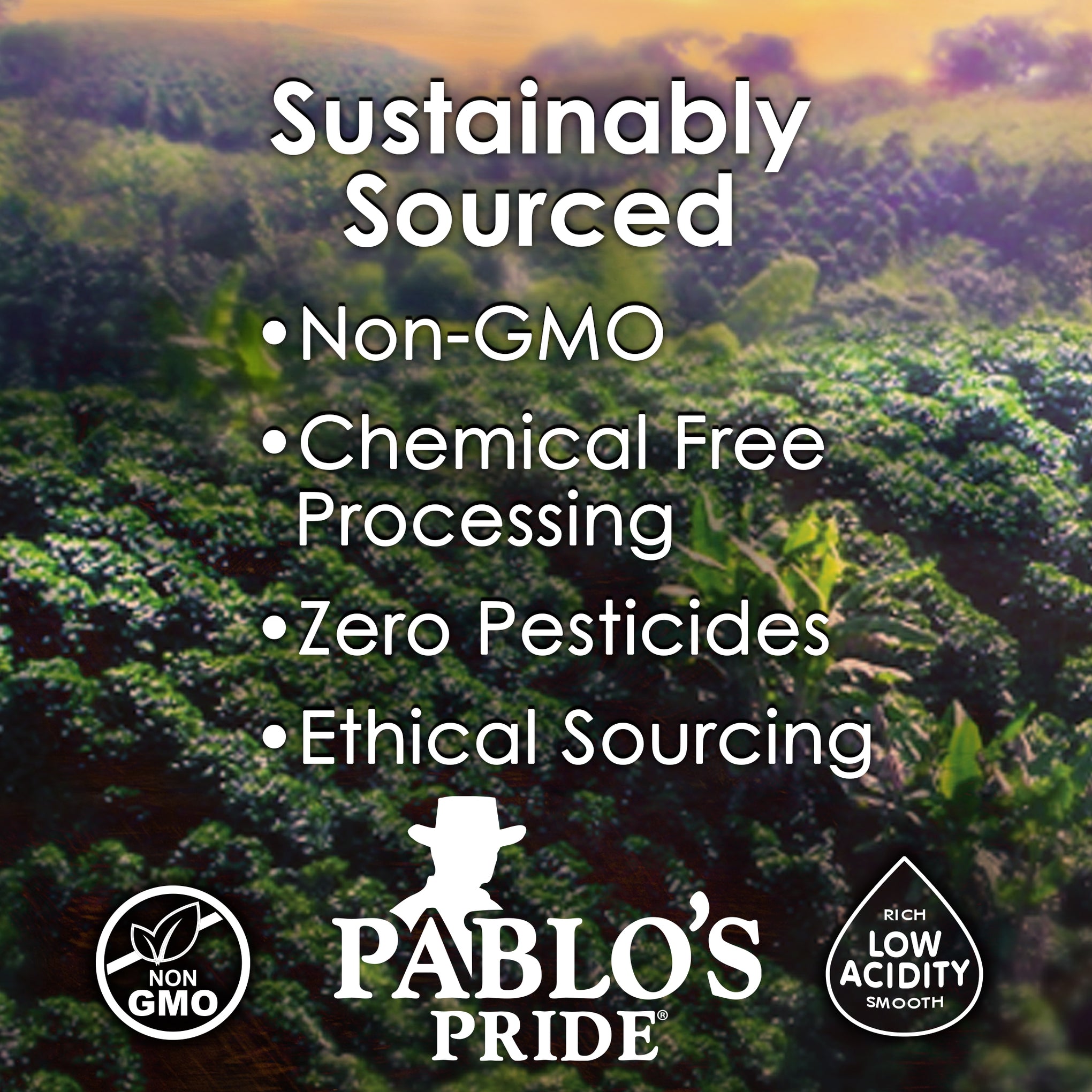 Don Pablo Coffee Sustainably Sourced