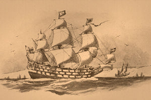When Did Coffee Come to America? A Quick History