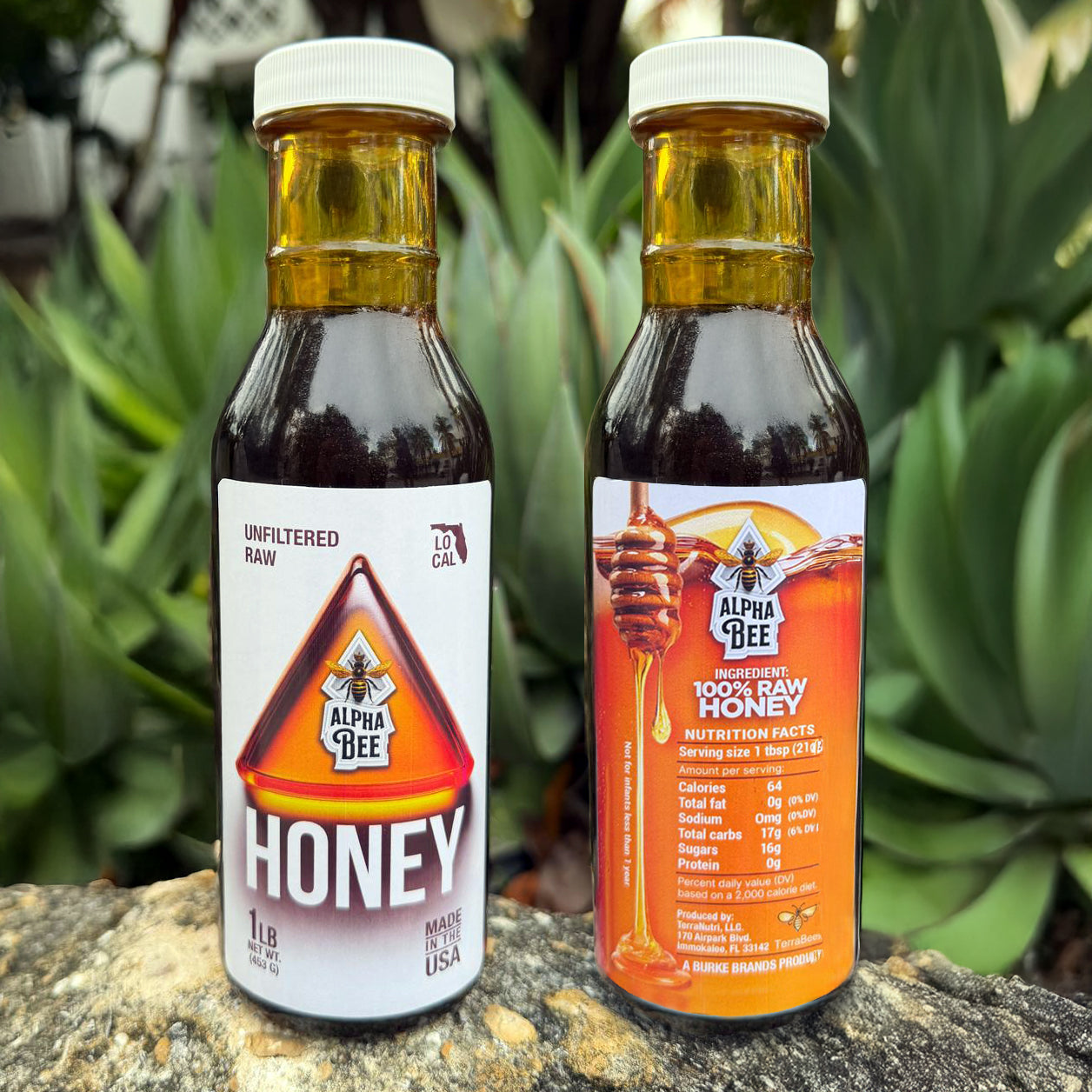 Alpha Bee Honey – Pure, Raw Florida Honey